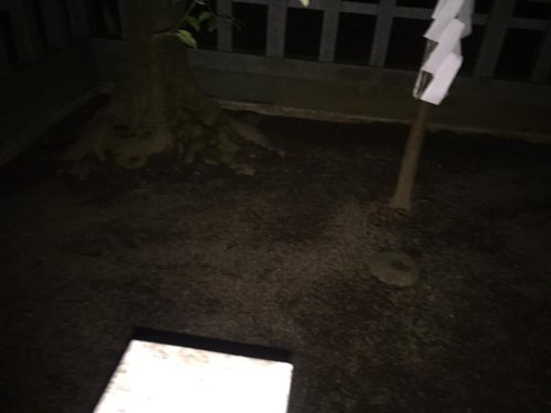 58384503_1315989408551321_4513040403573768192_n