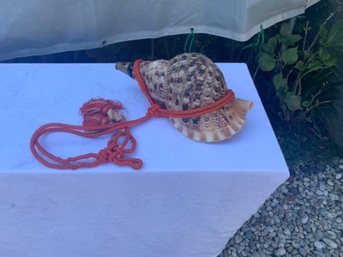 252363017_2120870528063201_719270401112792296_n