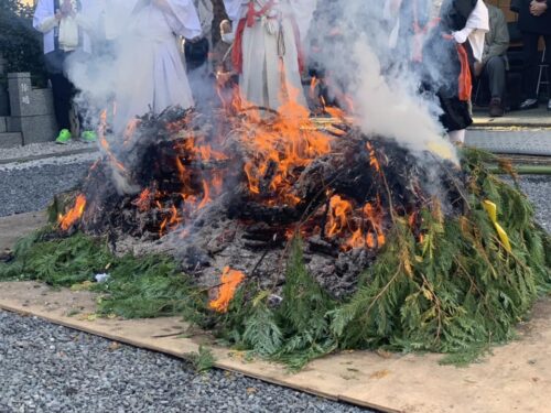 313432772_2419457124871205_1278656850622444026_n